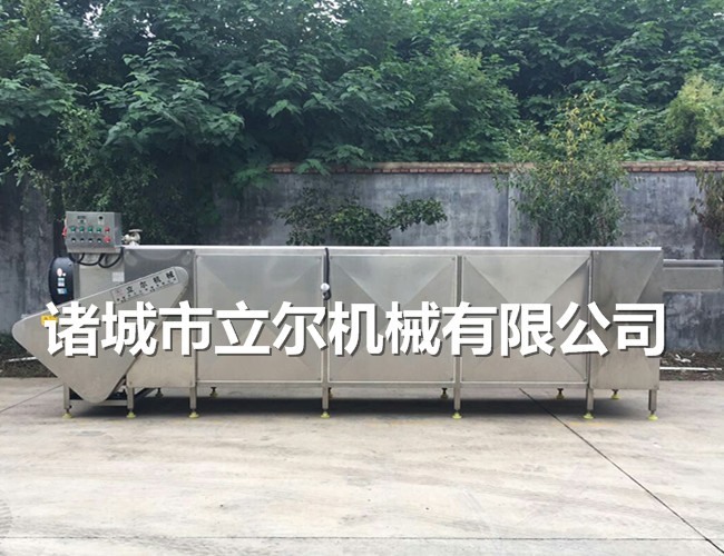 葡萄干干果類(lèi)產(chǎn)品用烘干流水線(xiàn)